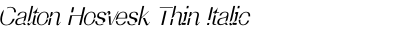Calton Hosvesk Thin Italic